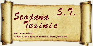 Stojana Tešinić vizit kartica